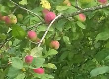 20160619_170456