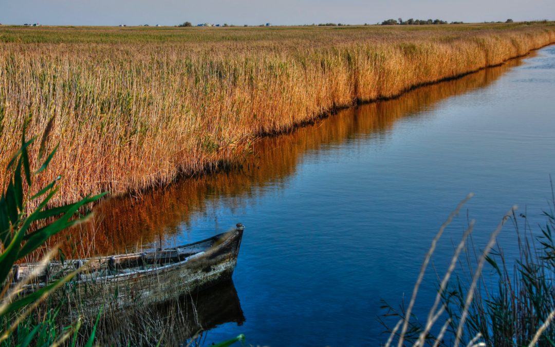 Женская группа практики  «Жить в Потоке. Практики развития внутренней целенастроенности»