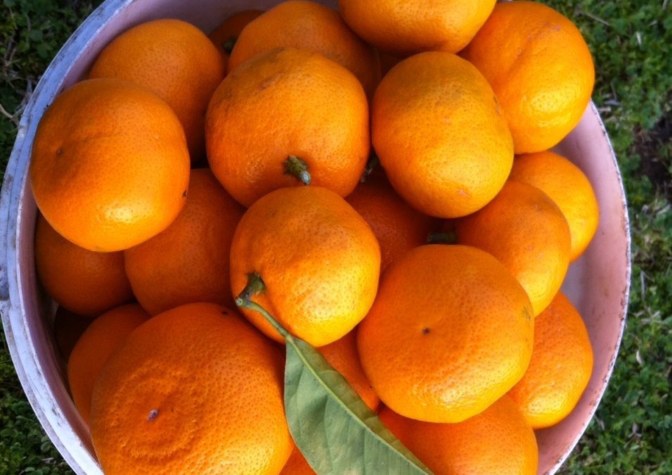 Регулярные занятия практикой восстановления своей целостности. Рабочее название «Жить — хорошо».