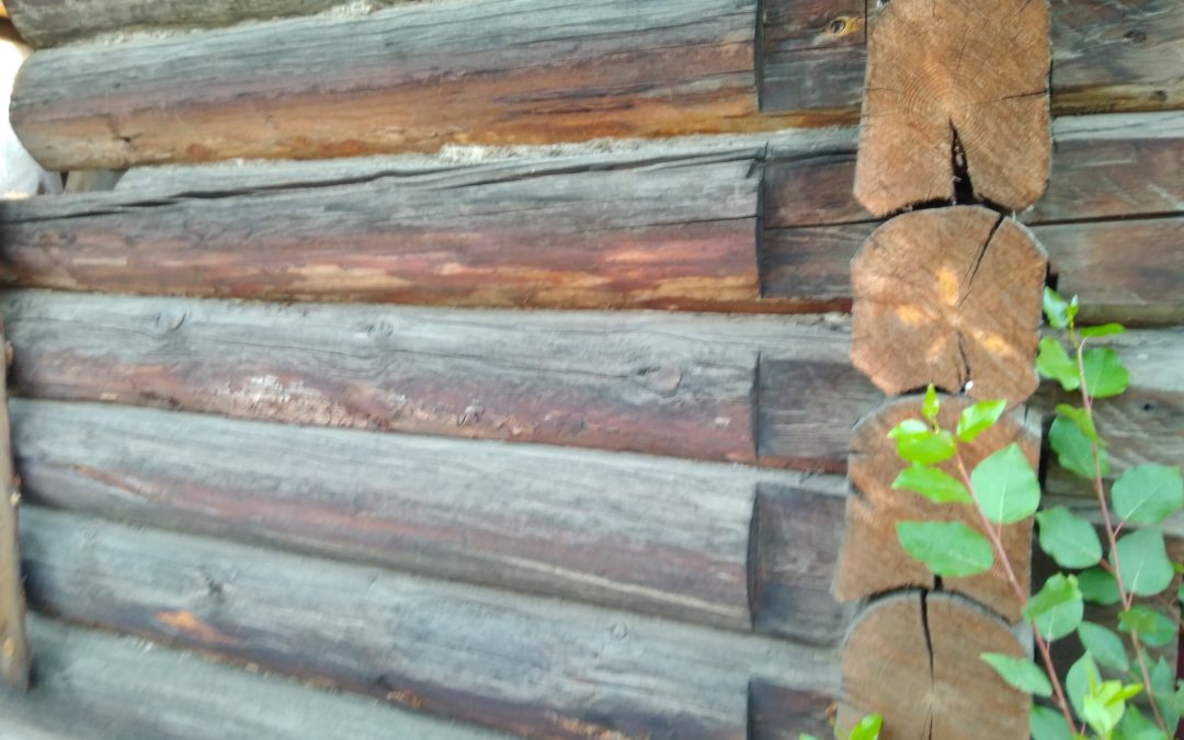 Свое незакрашенное «Я» (в продолжение Байкальского тренинга)