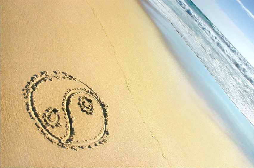 «Янские» женщины и «иньские» мужчины… Или про женщин с Марса и мужчин с Венеры…»